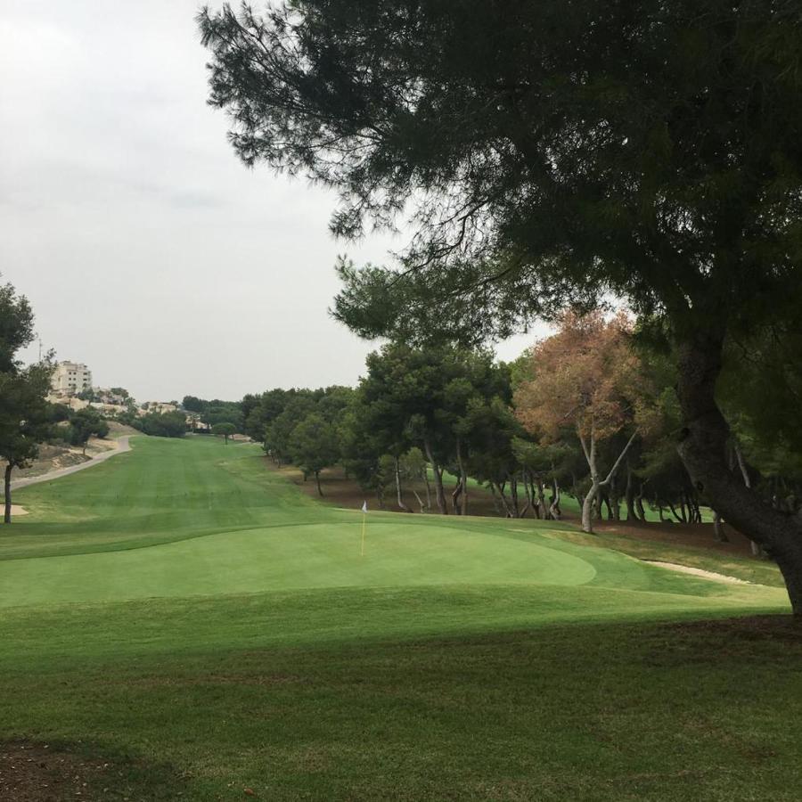 Apartamento En Orihuela Costa Con Piscina Dehesa de Campoamor  Eksteriør bilde
